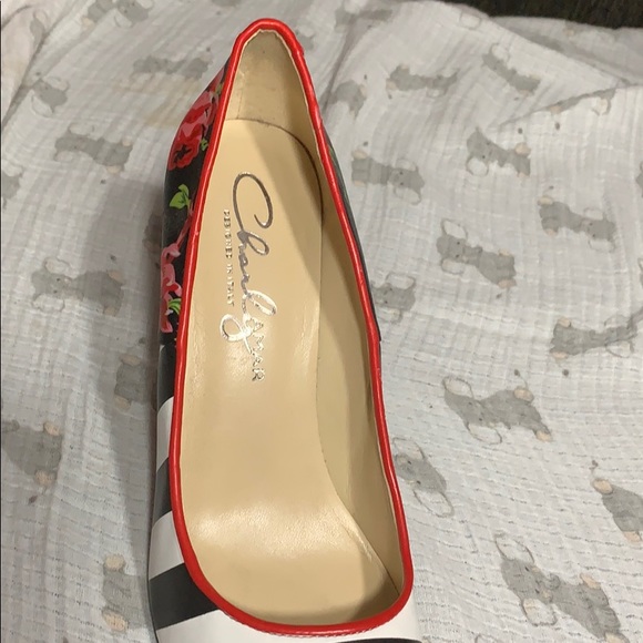 Charly Amar Roses and Stripes Designer Shoes - Picture 3 of 5